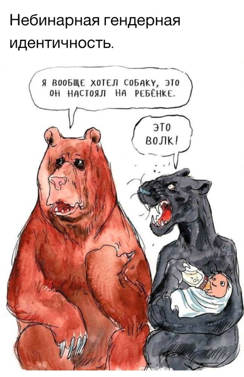 Небинарная гендерная идентичность. Я ВООБЩЕ ХОТЕЛ СОБАКУ, ЭТО ОН НАСТОЯЛ НА РЕБЁНКЕ. ЭТО ВОЛК!