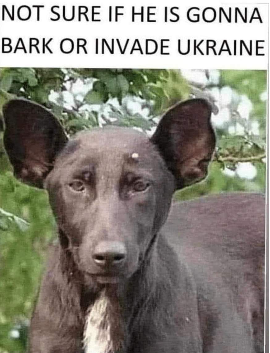 NOT SURE IF HE IS GONNA BARK OR INVADE UKRAINE